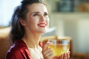 Güler yüzlü, modaya uygun, 40 yaşında, siyah iç çamaşırlı, kırmızı bornozlu, güneşli bir günde modern oturma odasında çay içen bir kadın..