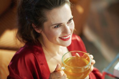 Mutlu, zarif bir kadın, siyah iç çamaşırları ve kırmızı bornozlu, güneşli bir günde modern evde yeşil çay içen..