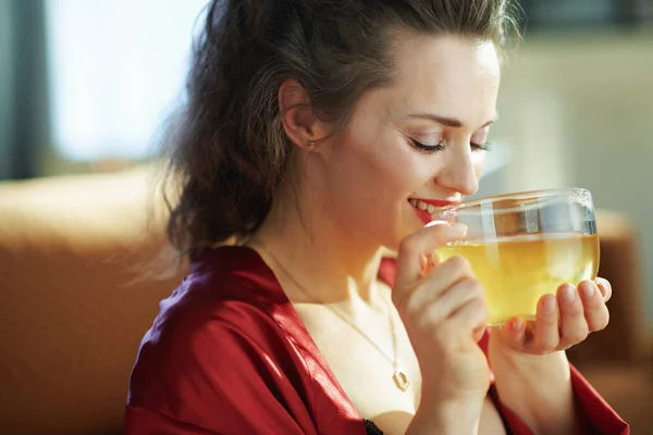 Gelukkig Modern Vrouw Zwart Lichaam Lingerie Rood Badjas Het Moderne — Stockfoto