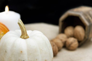 Organik ve sağlıklı balkabağı, biraz ceviz ve arka planda fotokopi alanı olan bir kutu. Cadılar Bayramı konsepti.