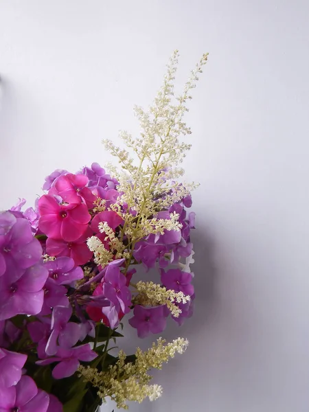 beyaz bir arka plan üzerinde mor kırmızı ve sarı çiçekler