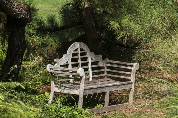 Träbänk i parken — Stockfoto