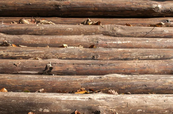 Fenyő fa naplók Vértes — Stock Fotó