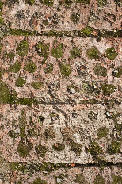 Old grunge weathered bricks — Stock Photo, Image