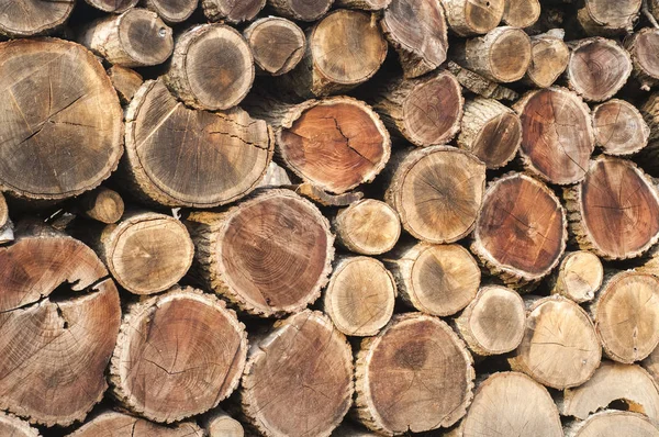 Gesneden droog brandhout — Stockfoto