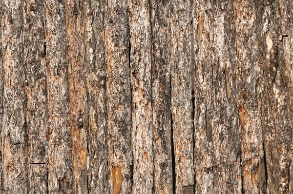 Pine bark fence closeup — Stock Photo, Image