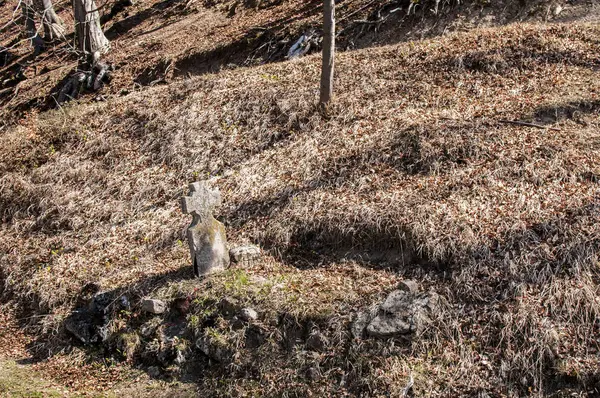 フォレストの廃棄 (tombstone) の石造りの十字 — ストック写真