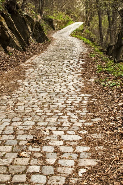 Stone paved mountain road — Stock Photo, Image