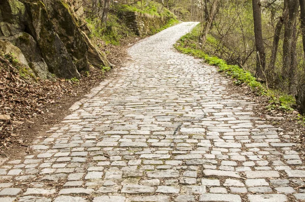 Stone paved mountain road — Stock Photo, Image