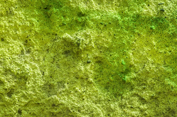 Zelené barevné betonový povrch — Stock fotografie