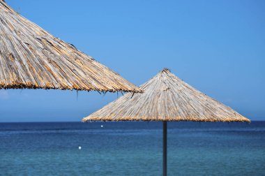Plaj şemsiyeleri kamış çatı