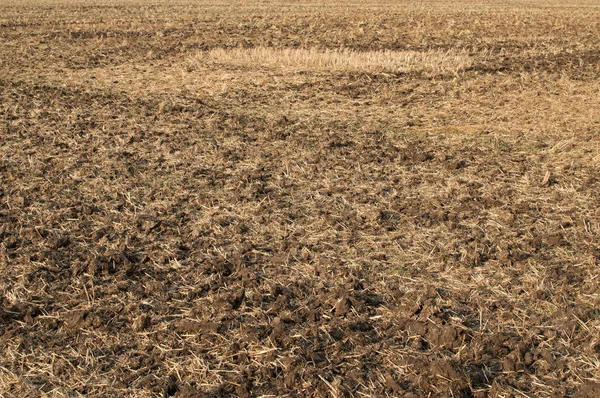 Plowed field closeup — Stock Photo, Image