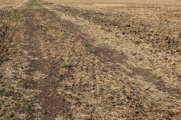Plowed field closeup Stock Picture
