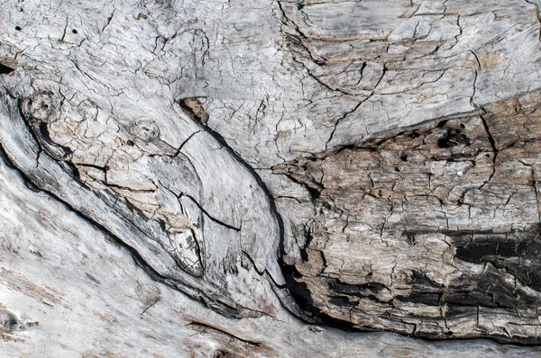 Eski yıpranmış grunge ahşap yüzey