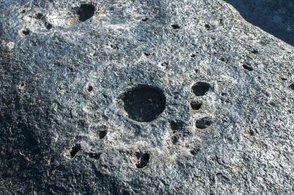 Deniz kaya yüzeyi dryed yosun closeup ile