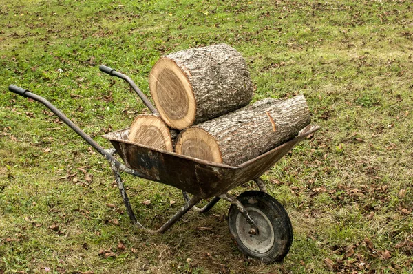 Gebruikte Tuin Kruiwagen Geladen Met Eiken Boom Stompen Gras Weide — Stockfoto