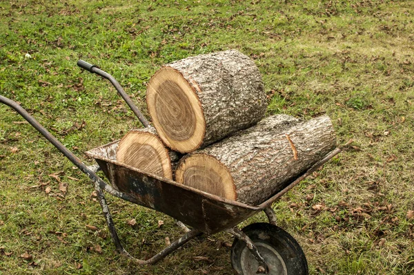 在草甸背景上用橡树树桩装载的庭院手推车 — 图库照片