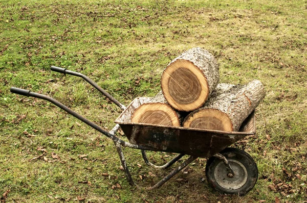 Carretilla Jardín Usado Cargado Con Tocones Roble Fondo Pradera Hierba — Foto de Stock