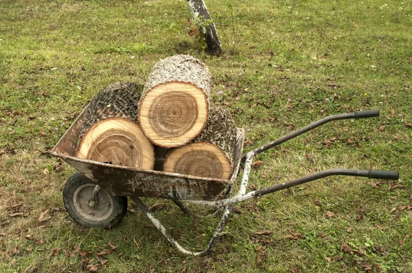 Gebruikte Tuin Kruiwagen Geladen Met Eiken Boom Stompen Gras Weide — Stockfoto