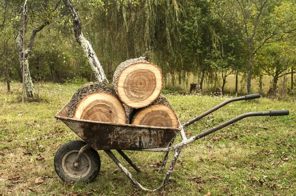 Carretilla Jardín Usado Cargado Con Tocones Roble Fondo Pradera Hierba — Foto de Stock