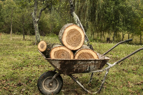 Meşe Ağaç Kütükleri Çim Çayır Arka Plan Üzerinde Yüklü Kullanılan — Stok fotoğraf
