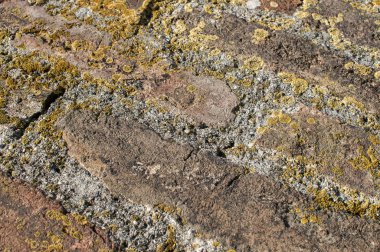 Arka plan olarak yüzey ayrıntı closeup eski yıpranmış grunge Duvar tuğla duvar