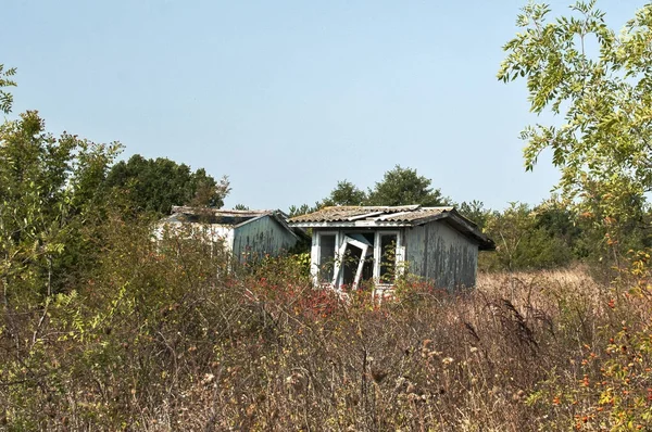 Eski Terk Edilmiş Kırık Grunge Vahşi Alanda Ahşap Bungalov Yaz — Stok fotoğraf