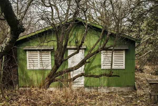 Verlaten Verouderde Vergrendelde Onbewoond Houten Groene Bungalow Begroeide Tuin Winter — Stockfoto