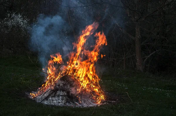 Nächtliches Feuer Durch Brennende Trockene Zweige Auf Bauernhof Wiese Stockbild