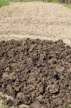 Taze hayvan gübresi sürülmüş ve sebze tarım alanı dikim için hazırlanmış sonunda yığını