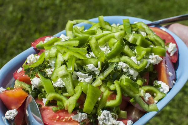 Friss Bio Zöldség Vegyes Saláta Közelkép Élelmiszer Háttér — Stock Fotó