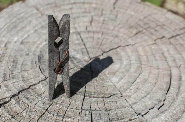 Antigua Clavija Ropa Madera Envejecida Superficie Del Tronco Del Árbol —  Fotos de Stock