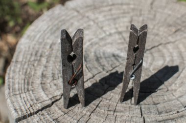 Eski kesilmiş ağaç gövdesi yüzeyinde eski ahşap mandallar.