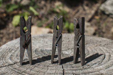 Eski kesilmiş ağaç gövdesi yüzeyinde eski ahşap mandallar.