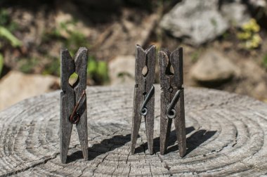 Eski kesilmiş ağaç gövdesi yüzeyinde eski ahşap mandallar.