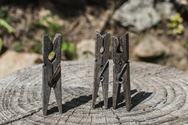 Eski kesilmiş ağaç gövdesi yüzeyinde eski ahşap mandallar.