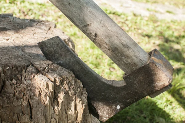 Old Blade Wooden Handle Stuck Weathered Tree Log Closeup — Stock Photo, Image