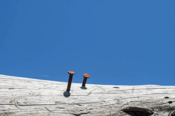 Rusty Nails Stuck Dry Wood Clear Blue Sky Background — 스톡 사진