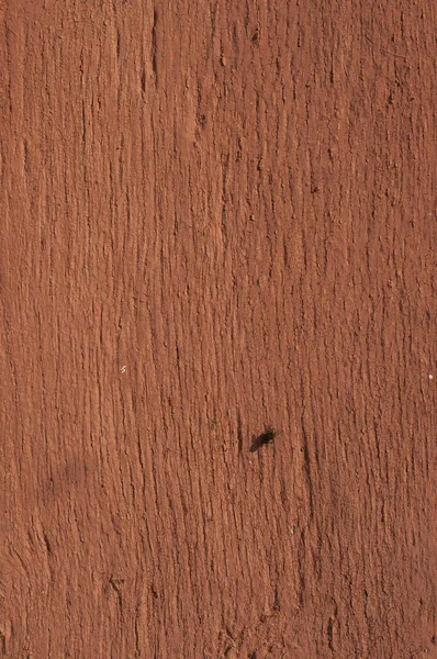 褐色风化的木制表面 上面有苍蝇 — 图库照片