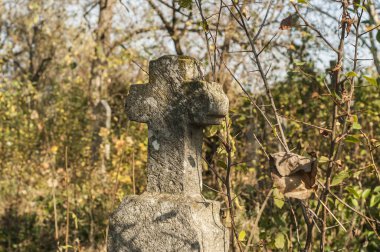 Terk edilmiş mezarlıkta haçı olan eski bir mezar taşı güneşli bir günde kapanır.