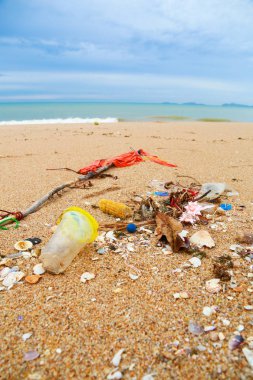 Bir plajda spontan çöplüğü