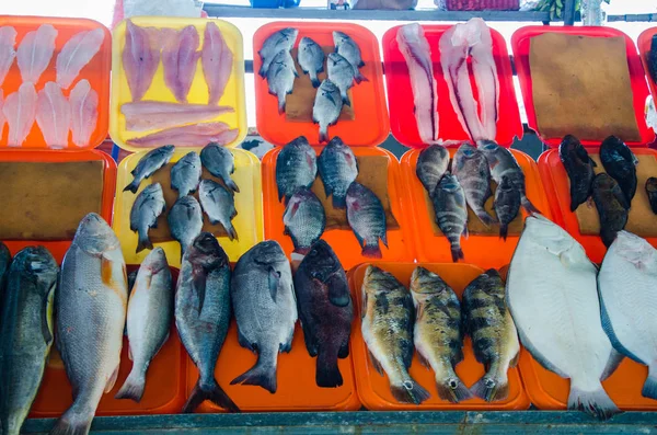Utbud av fisk — Stockfoto