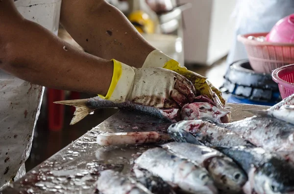 Förbereder fisken att sälja — Stockfoto