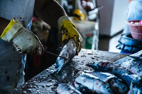 Förbereder fisken att sälja — Stockfoto