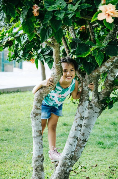 Ragazzina felice su un albero — Foto Stock