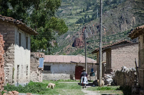 Woman from the Andes — Stock Photo, Image