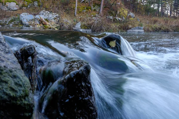 Hızlı Akış Makro Fotoğraf Bir Sonbahar Nehri Nin Rus Hinterland — Stok fotoğraf