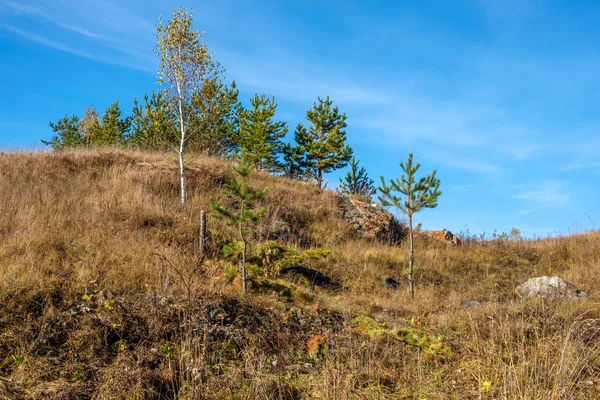 Árvores Montanha Contra Céu Azul Temporada Outono Rússia Urais — Fotografia de Stock