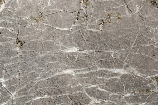 texture of grey stone white streaks, close-up shot of the stone close up, outdoor