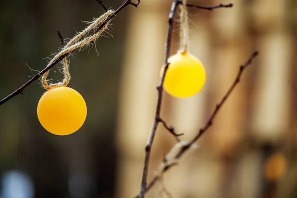 ball table tennis balls are suspended in the scenery on the branch of a tree in the forest, blurred background